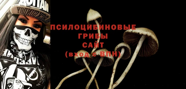 твердый Заволжск
