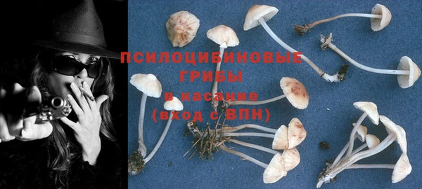 винт Елабуга