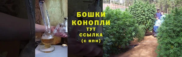 экстази Ельня