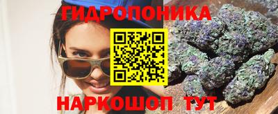 Альфа ПВП Краснознаменск