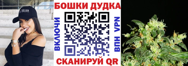 Каннабис SATIVA & INDICA  Кашира 