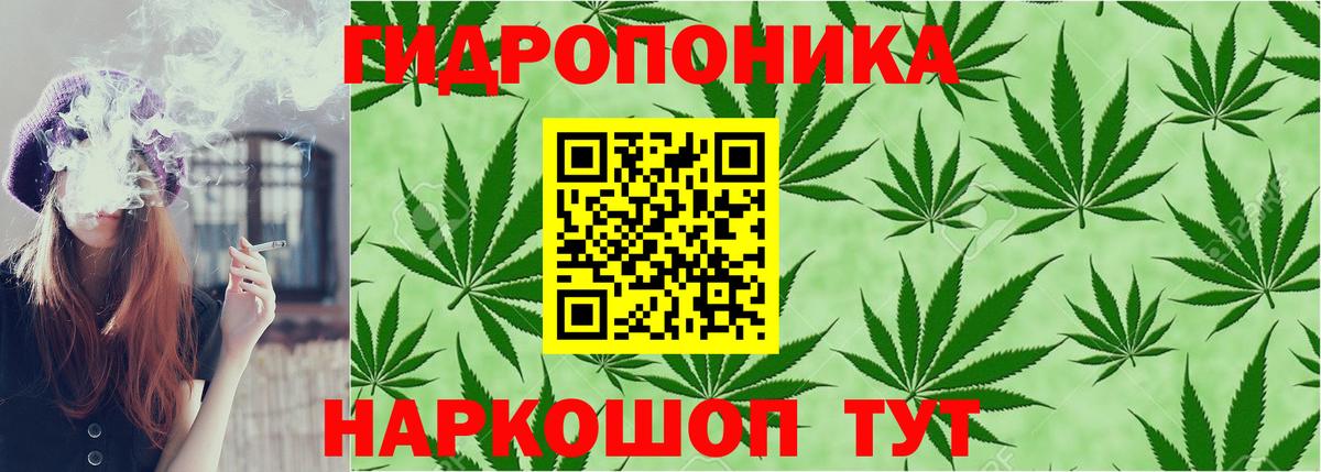 Бошки Шишки VHQ  Канабис планчик  Вход с VPN  Кашира 